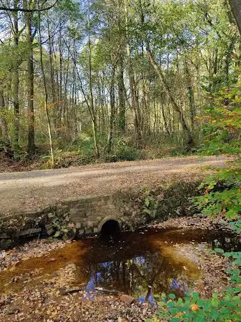 Photo de Roelerheide