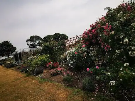 Photo de Borough Park