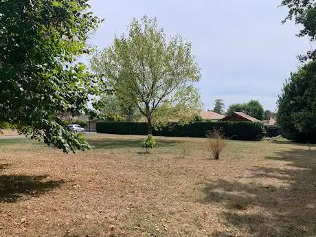 Photo de Le petit bois