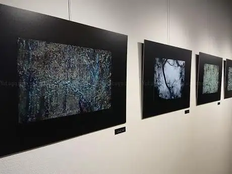 Photo de Galerie Verhaeren