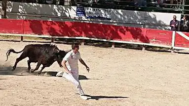 Photo de Arènes Municipales