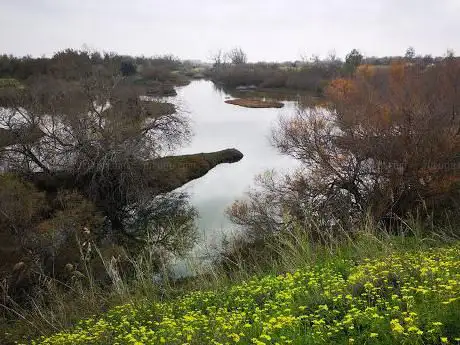 Photo de Marismas de guadalhorce