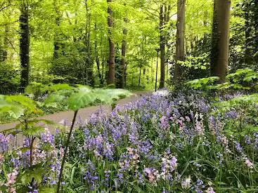 Gemeentebos Heiloo