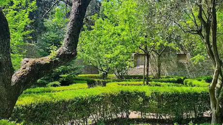 Photo de Jardin botanique