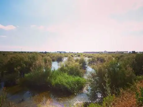 Photo de Laguna de Meco