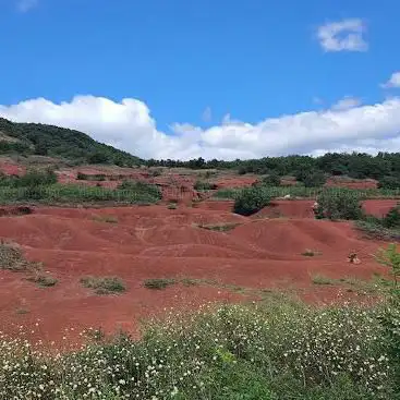 Photo de Le rougier de camares