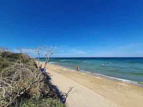 Photo de Spiaggia libera