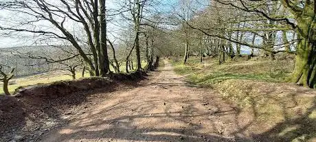 The Drove National Trust.