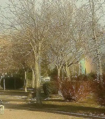 Photo de La Dehesa