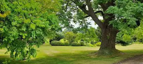 Photo de Edmondsham House & Gardens