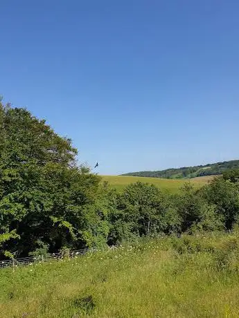Lydden Temple Ewell National Nature Reserve