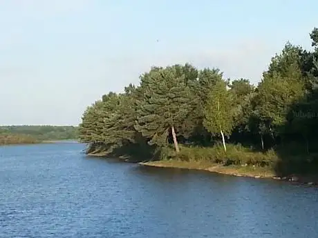 ?tang d'Ouée