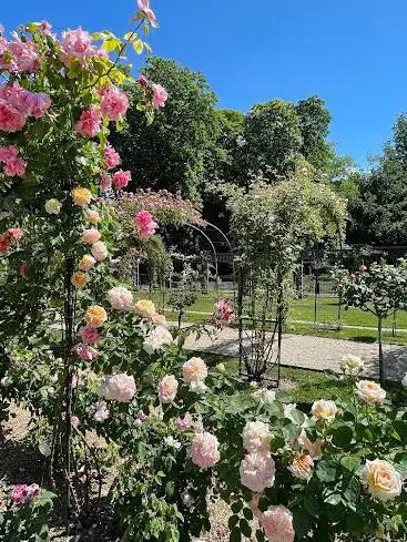 Photo de Le parc de la Roseraie