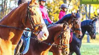 Equestrian Center Du Toulois