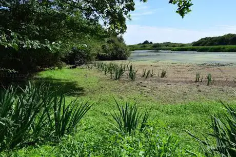 Photo de Marais de Penvins