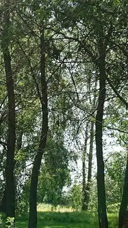 Photo de Smallshaw Park