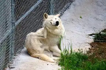 Photo de Miller Zoo