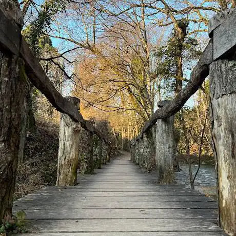 Photo de Parc du Buis