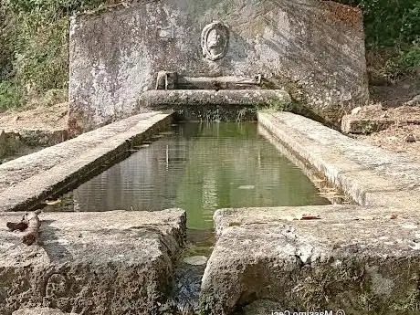 Photo de Fontanile di Sant'Angelo