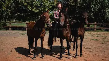 Centro equestre - La Riserva horse club