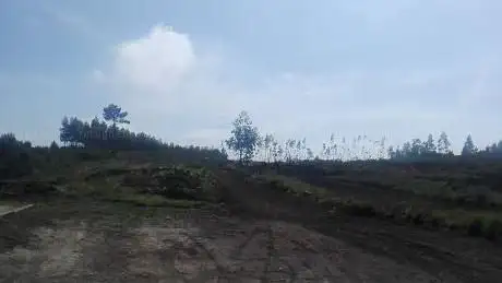 Crossodromo Fielmuro