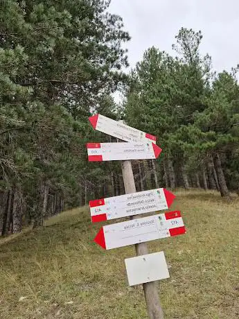 Photo de 412 trail