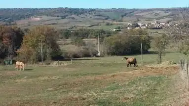 Photo de Equestrian Center De Zanières
