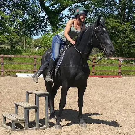 Coetir Bach Farm