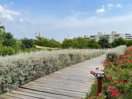 Photo de Parc de Iulia Quieta