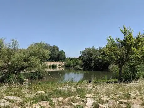 Torre Sires