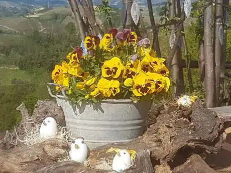 Giardino Botanico Esotico Di Doro