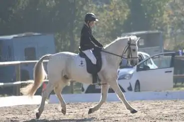 Photo de Pony Club De Glomel