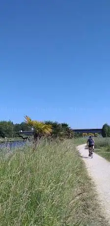 Photo de Promenade de Locmaria