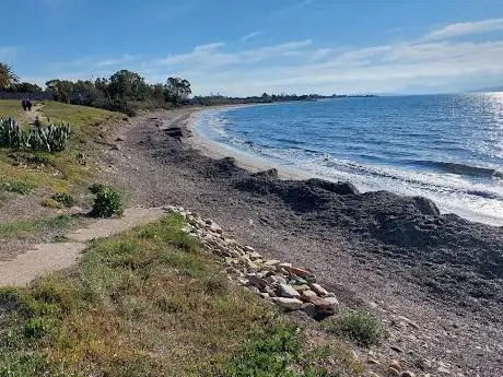 Stella di Mare
