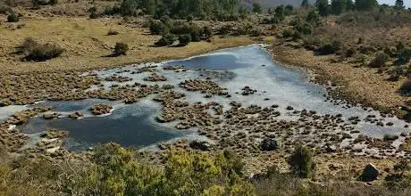 Photo de Lago di Bargone