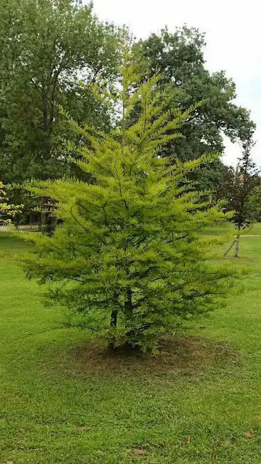 Photo de Parc de la Pradasque