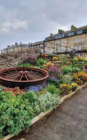 Saltburn Fossil Garden