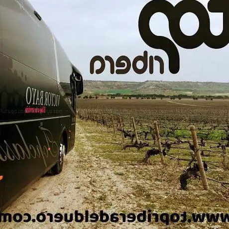 Photo de Top Ribera del Duero