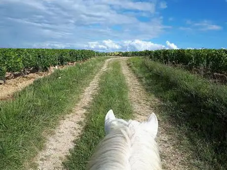Photo de A Cheval Dans L'Yonne