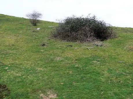 Buca del ciuco