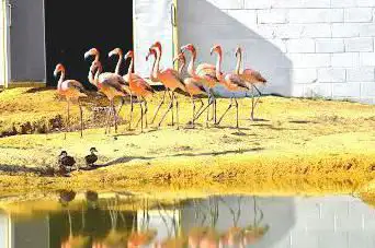 Photo de Hanwell Zoo
