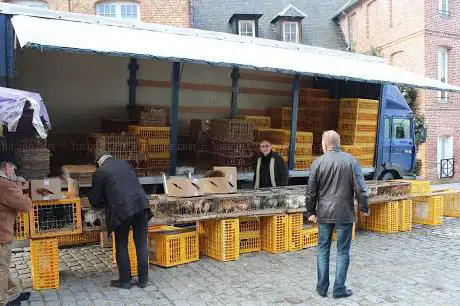 Photo de Marche de Plein Vent