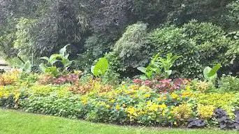 Photo de Botanical Garden