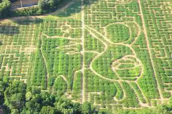 labyrinthe végètal