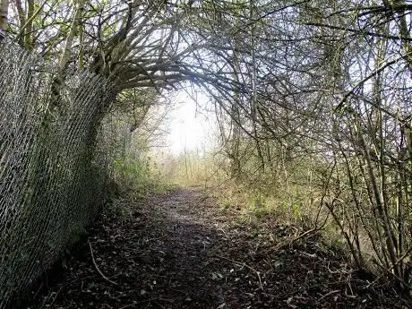 Quarryman's Walk (Boon)
