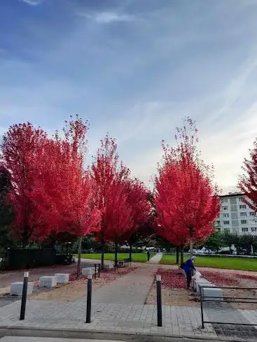 Parc Vignières-Pommaries