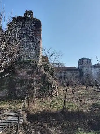 ruderi del castello di Vottignasco