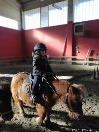 PonteNuovoHorses ASD APS