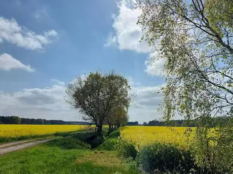 Heslington Tillmire (SSSI)