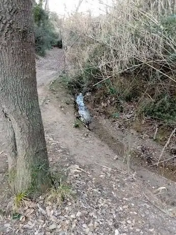 Photo de Torrent dels Alous
